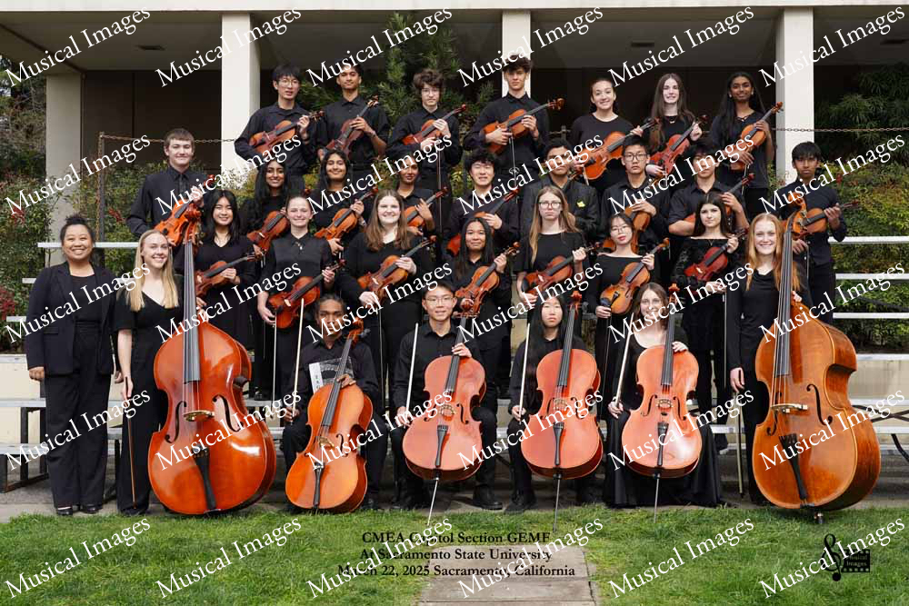 Musical Images